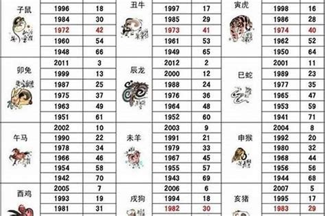 62年属什么|62岁属什么生肖